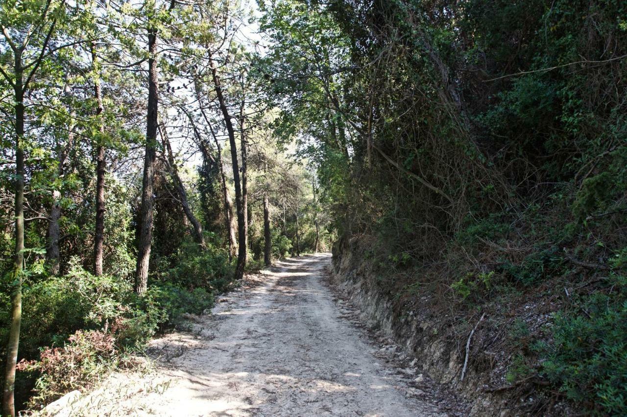 Casa Vacanze A Lea L'Ua Finale Ligure Zewnętrze zdjęcie